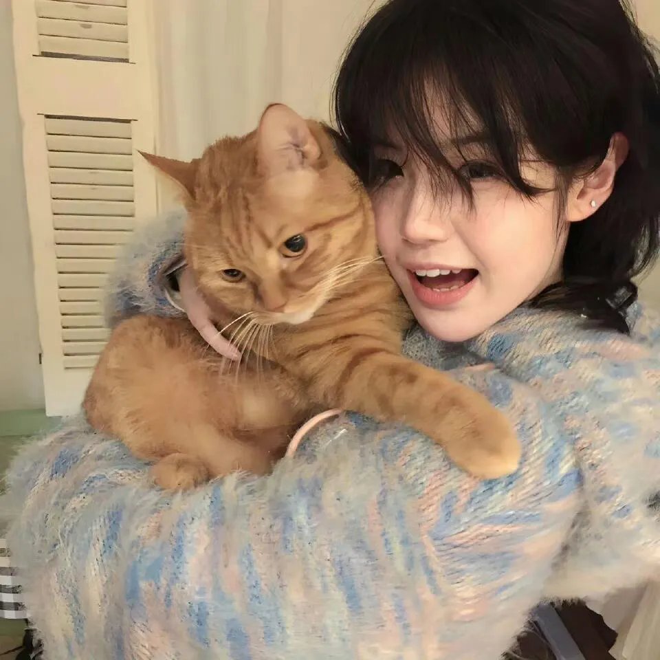 德云社岳云鹏“享岳十年”相声专场北京站2019