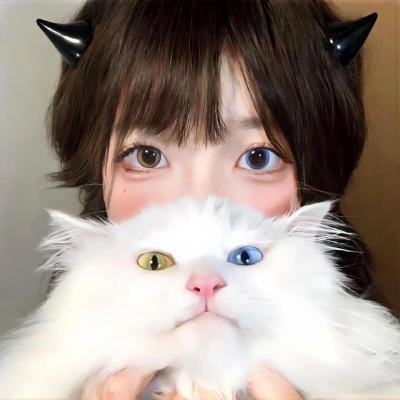 将装修进行到底